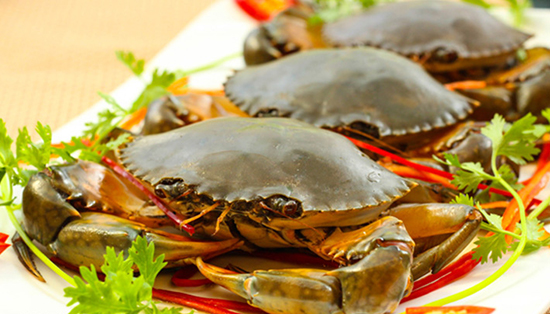 Nguy cơ phơi nhiễm hóa chất vĩnh cửu do ăn nhiều hải sản