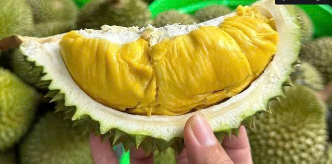 Mẹo chọn sầu riêng chín tự nhiên, không hóa chất